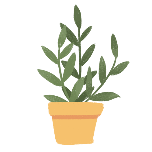 9.png